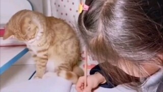 There must be something fishy if children can’t finish their homework!