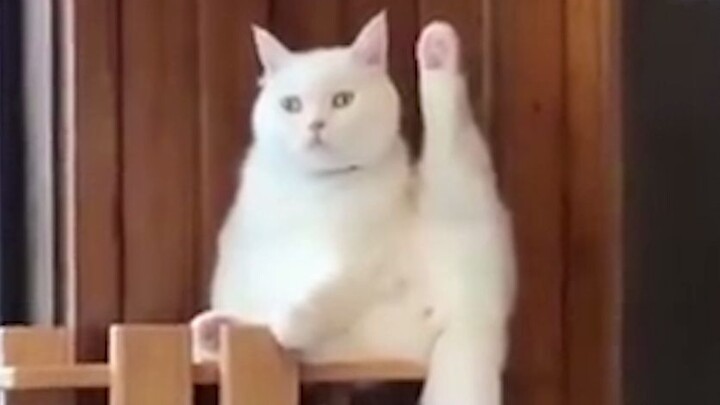 Hurry... hurry and take the kid to dance class!!