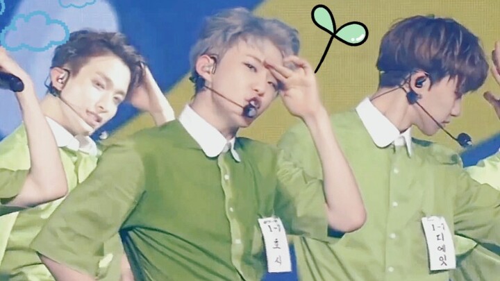 【Tampilan Subtitle Mandarin】Pretty U｜Sekelompok Bibit Pohon Musim Semi｜Seventeen yang Belum Pernah A