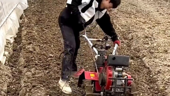 Kualitas tanah tidak membaik tanpa alasan. Zhang Yaoyuan pantas mendapatkannya.