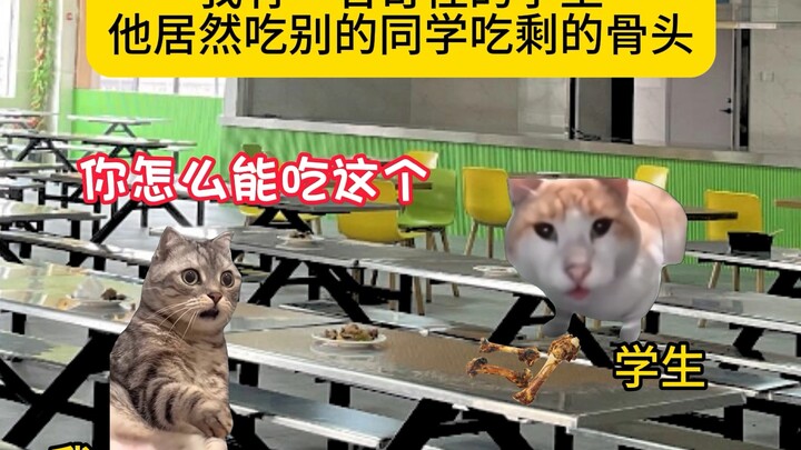 แกะมีความกตัญญูรู้คุณที่คุกเข่าดื่มนม นกกาก็มีความกตัญญูตอบแทนบุญคุณ