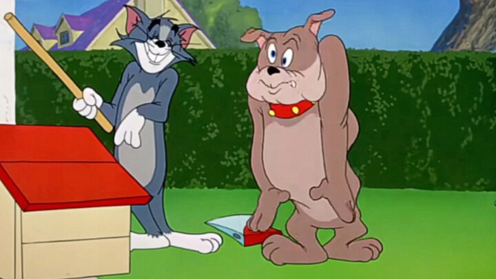 “Tom’s IQ is ten times that of a dog’s.”