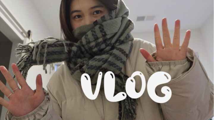 VLOG: This time I brought my cat to the U.S. and ran into extreme cold weather. My first instant noo