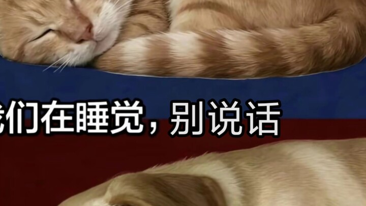 Leluhur Abadi Usia Senja vs Anjing Besar yang Mengunyah Terus-Menerus