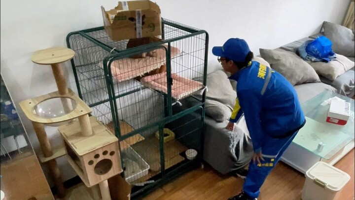 تربية الحيوانات الأليفة تتطلب المسؤولية.