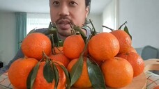 ASMR Sweet & Juicy Mandarin With Leaves🍊- Sensitive Sounds Of Peeling + Eating