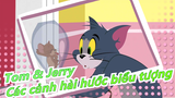 [Tom & Jerry] Các cảnh hài hước biểu tượng Cut