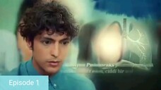 A miracle doctor [Mucize Doktor] Episode 1 Hindi dubbed