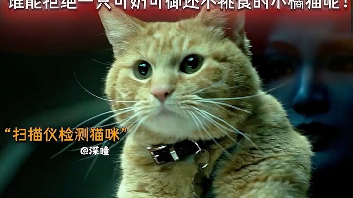 On the surface, it’s a cute little kitten, but in reality, it’s a Reality-Eating Beast that devours 