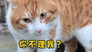 Ê~ bạn không thèm để ý đến tôi à? Bạn xong đời rồi!