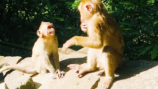 This is the most amazing moment of dodo and his mom