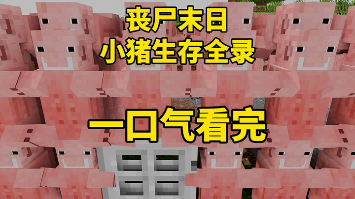 Minecraft ngày tận thế thây ma: Trọn bộ quá trình sinh tồn của chú lợn con: Xem một mạch hết