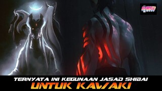 TERNYATA INI KEGUNAAN JASAD SHIBAI DIMASA DEPAN UNTUK KAWAKI