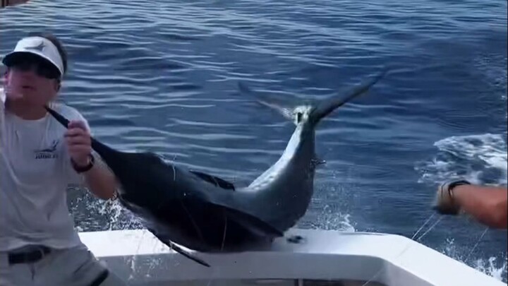 Angler: This bite rate is a bit too much…