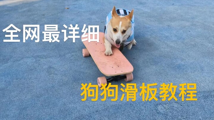 This is probably the most detailed dog skateboarding tutorial on the entire internet—feel free to as