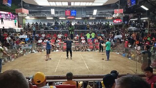 1st Fight Win. WHITE (July 15. SMC 3-Stag Derby Early Bird Edition)