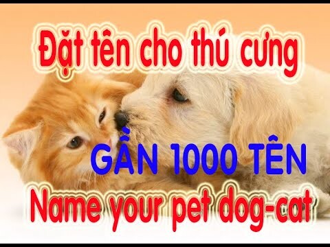 Đặt tên cho thú cưng chó mèo gần 1000 tên ( Anh, Nhật, Việt) - Name the pet dog - cat