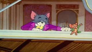 【Cat and Mouse】Wild Wolf Disco