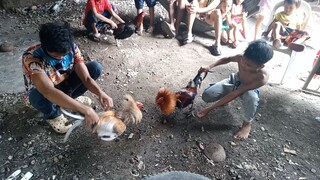pang katay