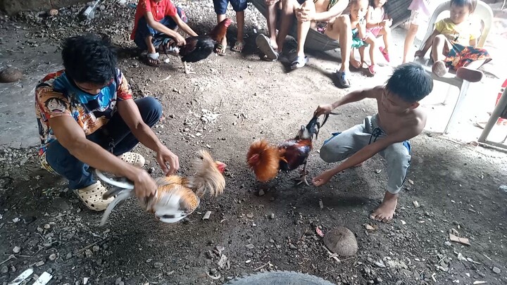 pang katay