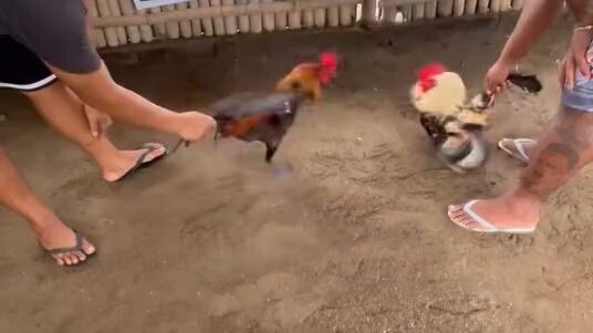 melsim grey and Sbr of Aaron Gf