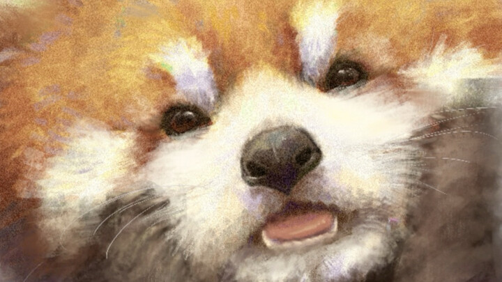 So darn cute! I couldn't help but draw too much; for now, I'm not considering taking on any commissi