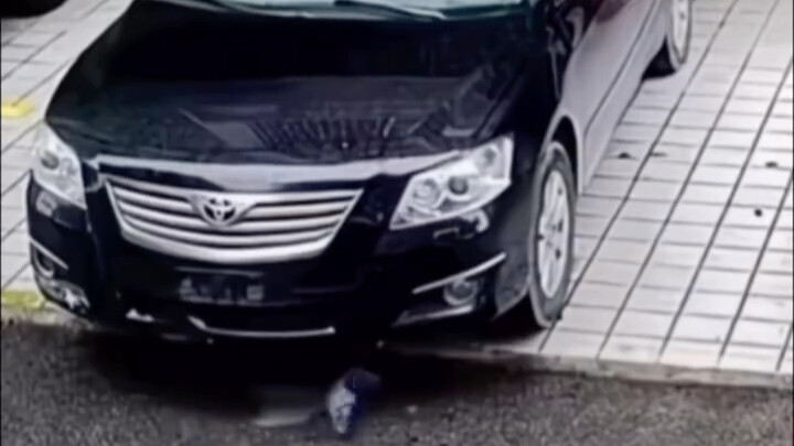 Efek Program: Kisah Zaman Primitif