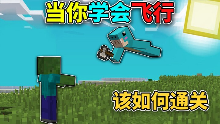 Minecraft: Khi bạn chỉ có thể hoàn thành Minecraft bằng tư thế bay!