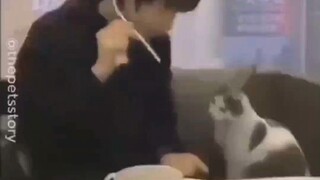 被骗得一愣一愣的