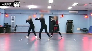 菲梦少女真命天女动捕镜面自用