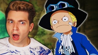 A THIRD BROTHER?? Enter, SABO!!