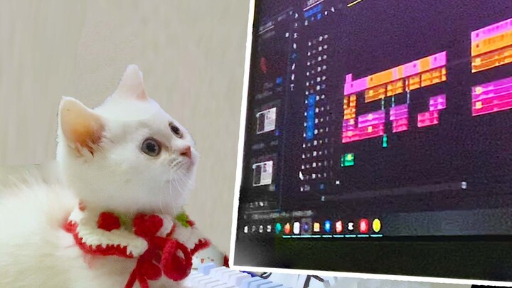 ช่างตัดต่อเบื้องหลังของ UP ผู้มีแฟนคลับนับล้านกลับเป็นแมวน้อยที่ยังไม่บรรลุนิติภาวะ!