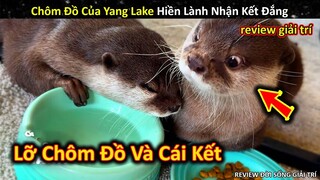 Mạo Hiểm Chôm Đồ Của Yang Lake Hiền Lành Nhận Kết Đắng || Review Giải Trí Đời Sống