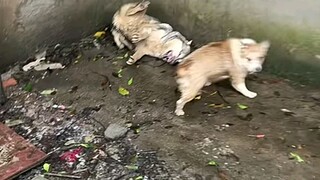 What is going on?