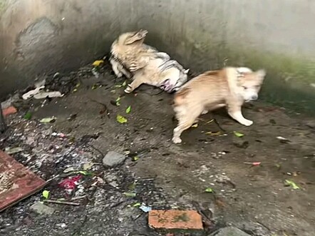 Có chuyện gì đang xảy ra vậy?