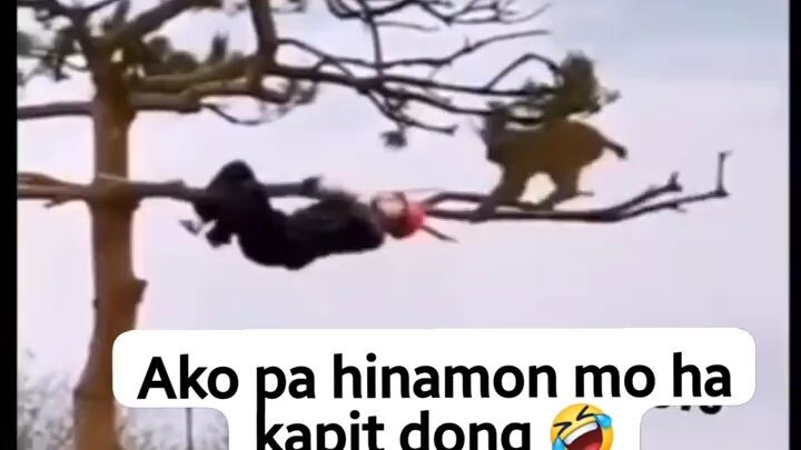 HAHAHA YARI KA NGAUN