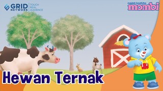 Mengenal Hewan Ternak - Fakta Menarik