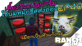 Ranch Simulator [ไทย] ทำฟาร์มวัว18ตัวเพื่อทำชีสขายส่งออก EP.40