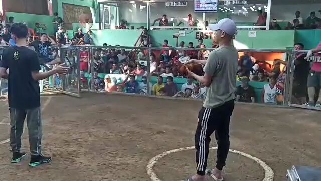 San Vicente Cockpit Arena 2 hits ulutan (2nd fight) Champion (Tropa ni Tanggol)