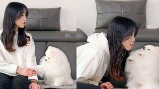 主人突然假装看不到狗狗，狗狗着急的反应太可爱啦！！