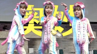 【辉人】奥妙打歌我还是觉得这版最妙！！（feat. 容墩墩）