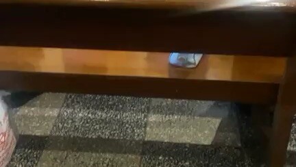 热闹几天,安静一年。春节就这样悄悄过去了,然后一切又回到原点。