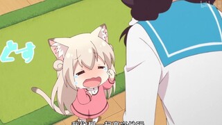 【猛男必看】家有三只小猫咪，两只负责打架，一只负责讲和