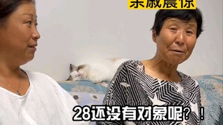 《年轻人假期怼亲戚指南》