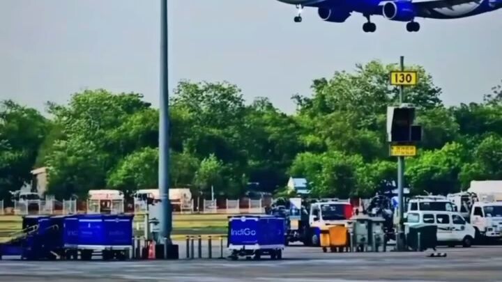 indigo airlines