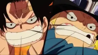Đừng hòng làm hại em trai Luffy của ta...#highlight #anime