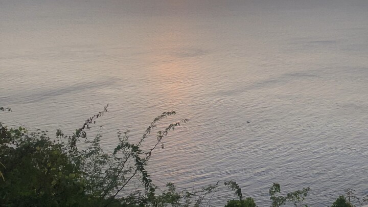 我的快乐不需要谁批准，努力过好当下的生活，就是对明天最好的馈赠。