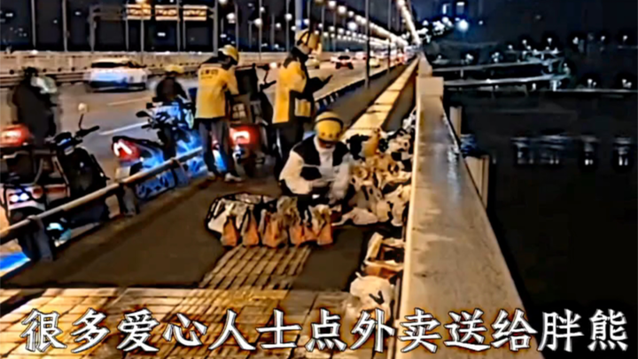 Fat Cat, please be happier in your next life!