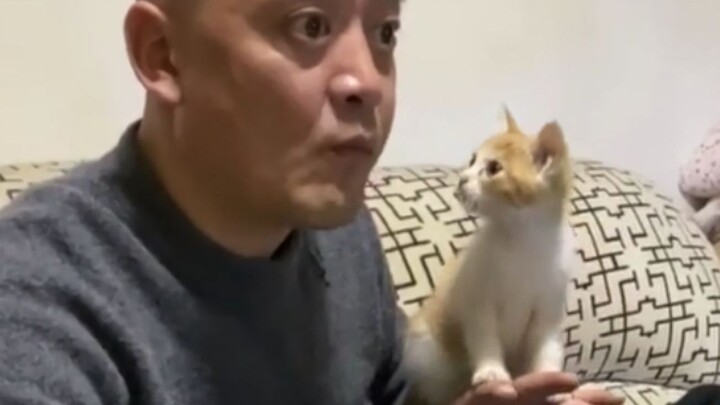 “Mom and Dad: If you dare to keep a cat, I’ll break your legs!”