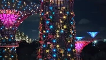 Super tree Groove, in Garden by the bay, Singapore